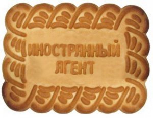 Рада приняла копию российского закона об иностранных агентах