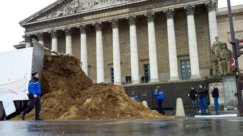 В Париже в знак протеста выгрузили 20 тонн навоза перед зданием парламента