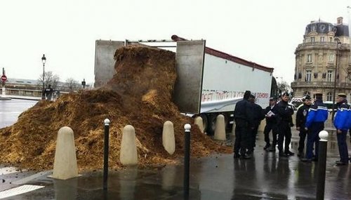 В Париже в знак протеста выгрузили 20 тонн навоза перед зданием парламента