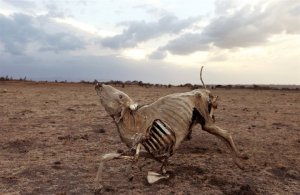 Цели и задачи западной элиты
