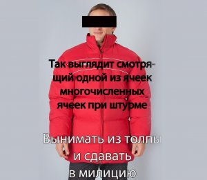 Структура управления ячейками у экстремистов. Памятка для горожан участвующих в выявлении и задержании экстремистов