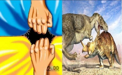 Майдан. Внутривидовая борьба крепчает, линии раскола все заметнее