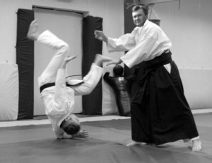 Украинский фронт. Двойной мастер класс по айкидо от Януковича (пока только версия событий)