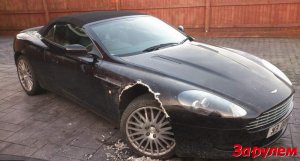 Британский пёс сжевал "Aston Martin"