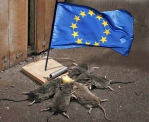 Социализация евромордобоя и резни?