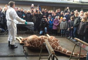 Что еще должно случиться, чтобы люди поняли: Европа больна !