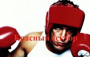 А. Шарий. «Красный Сектор» снимает маски