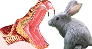 Анализ происходящего на Украине. Частное мнение