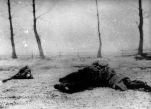 В предчувствии гражданской войны.... В предчувствии гражданской войны....