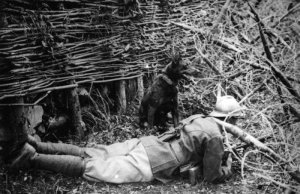 В предчувствии гражданской войны.... В предчувствии гражданской войны....