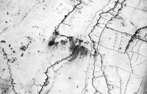 В предчувствии гражданской войны.... В предчувствии гражданской войны....