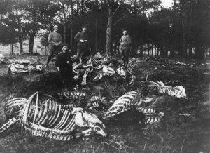 В предчувствии гражданской войны.... В предчувствии гражданской войны....