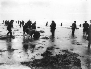 В предчувствии гражданской войны.... В предчувствии гражданской войны....