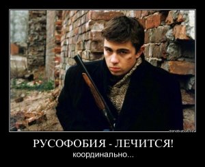 Глазьев: Запад вложил десятки миллиардов долларов в русофобию на Украине
