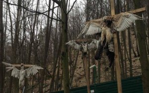 Евроинтеграторы распяли в резиденции президента Януковича трех беркутов