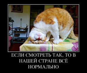 Такой февраль. Каков октябрь?