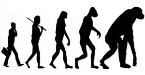 Политический ликбез в стране победившего бабуинства