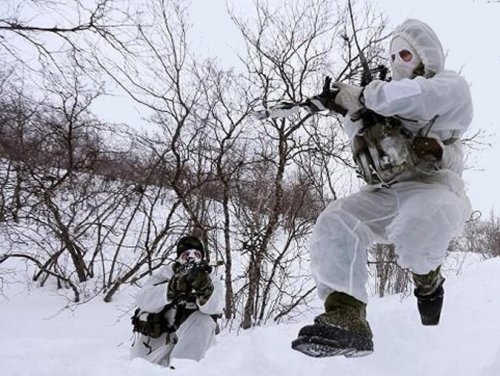 Английские морпехи примёрзли к подгузникам и отказались от участия в учениях