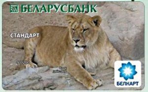 Похоже, что гривна уже не жилец.