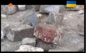 Эта реклама перспектив - меня почему то не вдохновила!