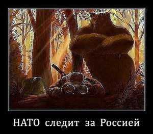Скомпрометированные США, НАТО и ЕС могут поцеловать русского мишку в задницу!