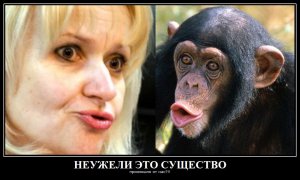 просто Киплинг, Книга Джунглей