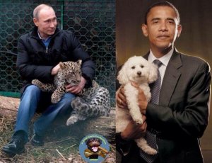 Просто фото