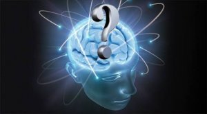 Куда выносят мозг?