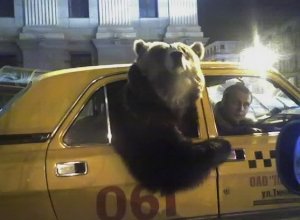 Шеф, поехали! Два счетчика!