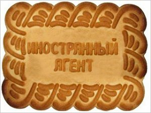 Требования к отечественным НКО предлагается сделать еще более суровыми
