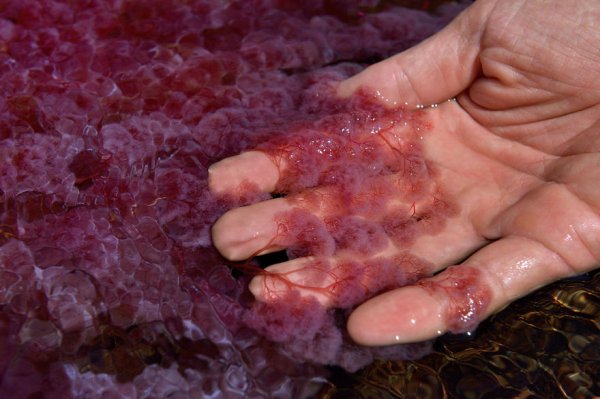 Самая красивая река в мире