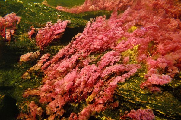 Самая красивая река в мире