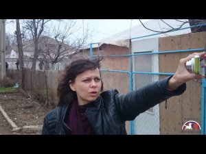 Провокация нацистов пресечена в Севастополе