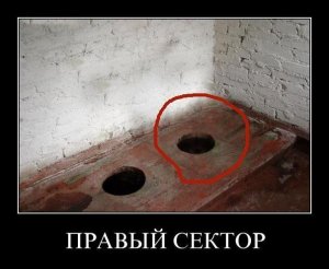 Факты о правом секторе