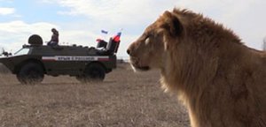 Житель Крыма подготовил боевых львов для защиты референдума