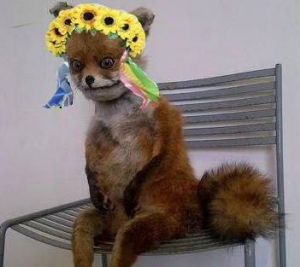 Украинская весна