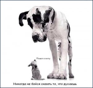 Украинские танки наехали на мирных жителей Донбаса