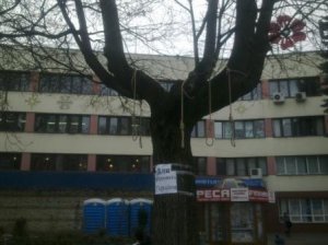 Иди и смотри - бандеровцы, как они есть. Часть 2.