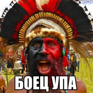 Русские в Украине являются диаспорой, а не коренным народом - МИД Укробандерии