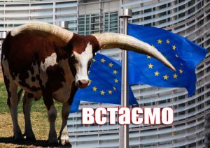 Украина и ЕВРОСОЮЗ