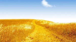 Голос с западной Украины