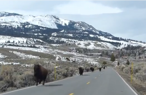 Супервулкан Йеллоустоун готовит удар?