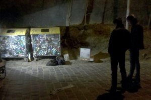 Во Львове возле мусорников нашли пакеты с оружием - 54 единицы